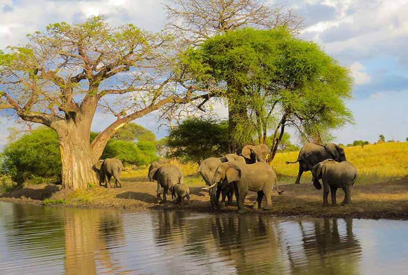 Tarangire National Park