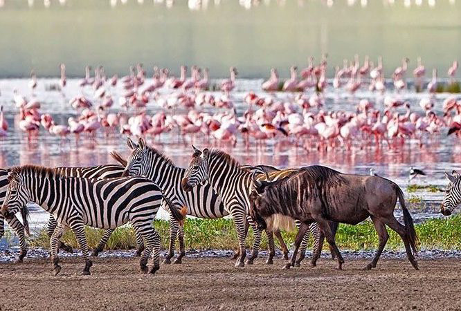 Lake Manyara National Park